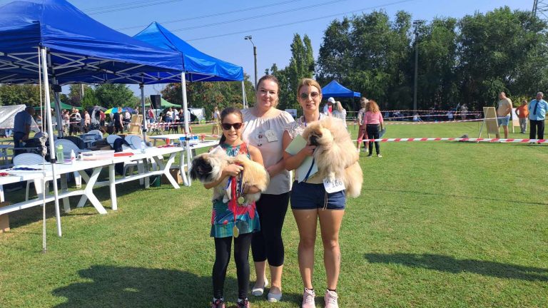 Read more about the article Országos Terrier Klub és MKSZ