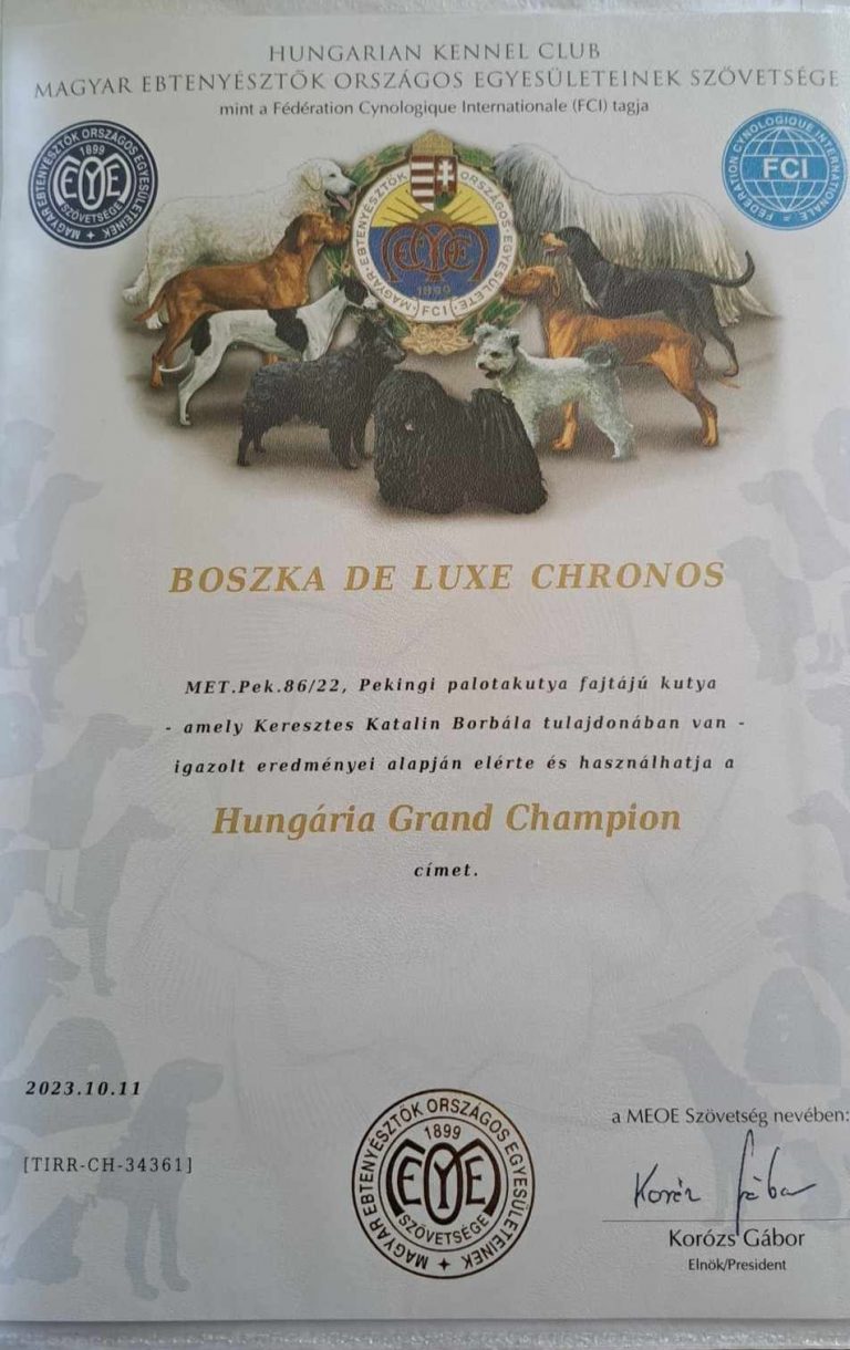 Read more about the article Grand Champion oklevél