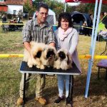 Read more about the article HALLOWEENI SZEGED CAC 2023