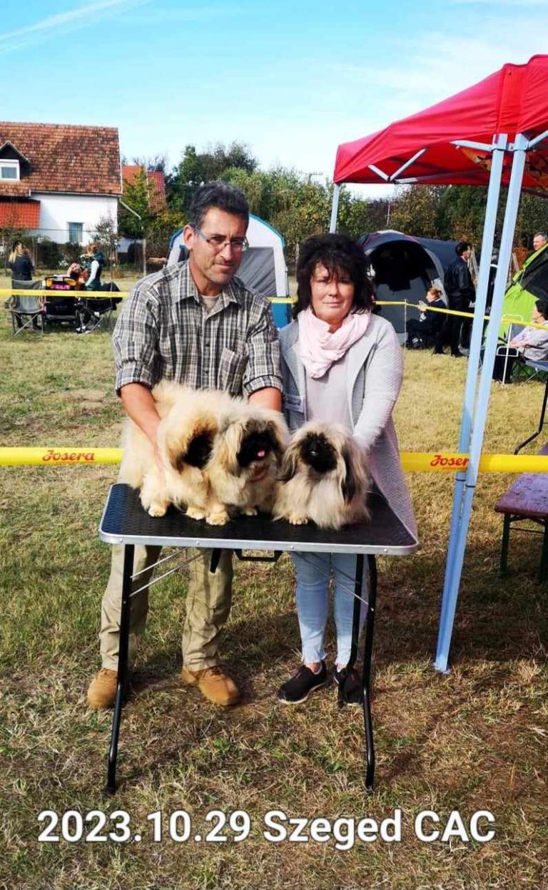 Read more about the article HALLOWEENI SZEGED CAC 2023
