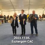 Read more about the article Esztergom 2023