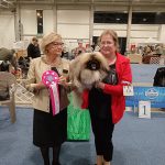 Read more about the article FeHoVa 2024 Winterdogshow 2.nap
