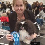 Read more about the article FeHoVa 2024 Winterdogshow 3.nap