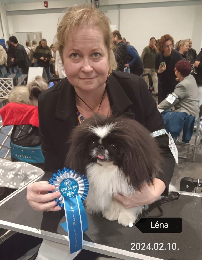 Read more about the article FeHoVa 2024 Winterdogshow 3.nap
