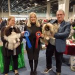 Read more about the article FeHoVa 2024 Winterdogshow 4.nap