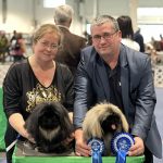 Read more about the article FeHoVa 2024 Winterdogshow 1.nap