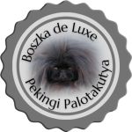 Read more about the article Jakabszállás CACIB
