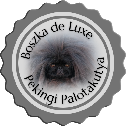Read more about the article Jakabszállás CACIB