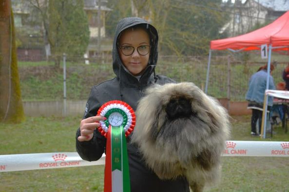 Boszka De Luxe Gino Salgótarjánban
