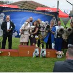 Read more about the article ÁBE Special CAC Kiállítás Pécs-Szentlőrinc